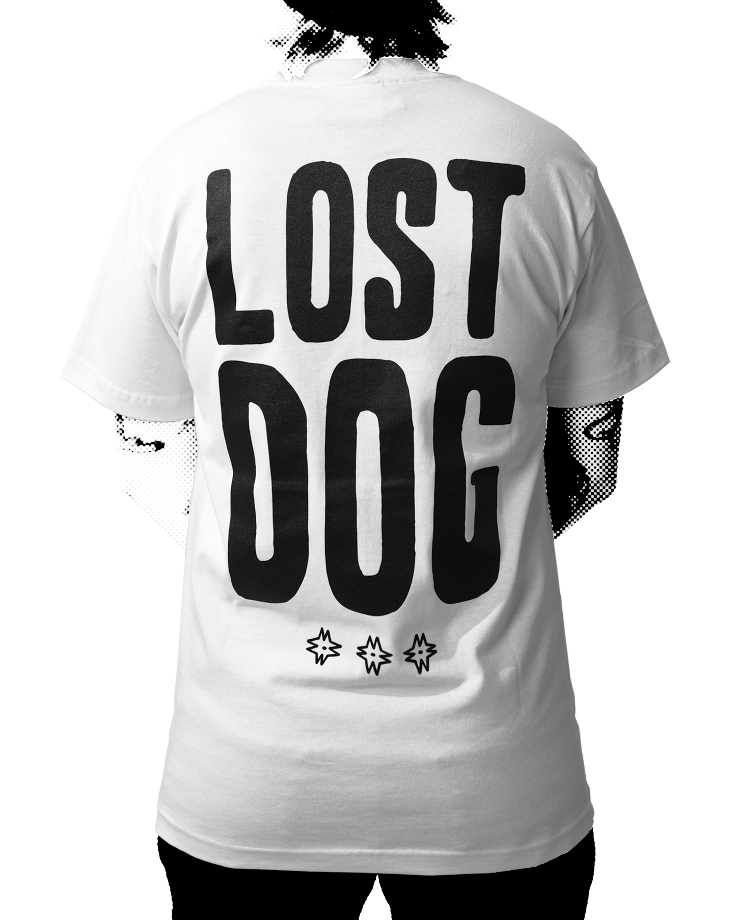 Lost Dog